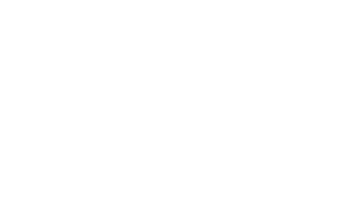 Lead Like a Girl, The Beast Foundation